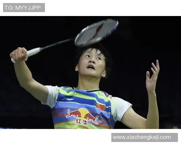 南京羽毛球队技术表现分析与提升策略探讨