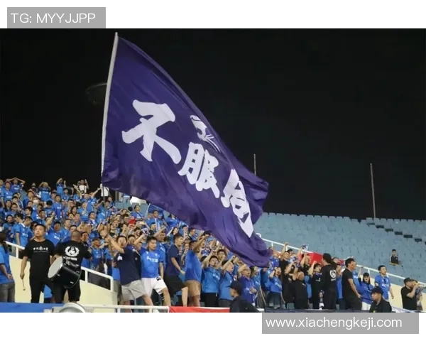 武汉排球队的崛起之路：从默默无闻到全国瞩目的冠军之旅