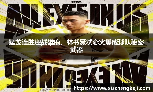 BSports网页版
