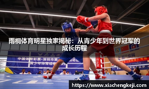BSports网页版