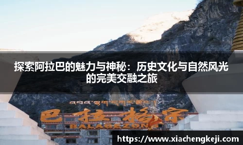 BSports网页版