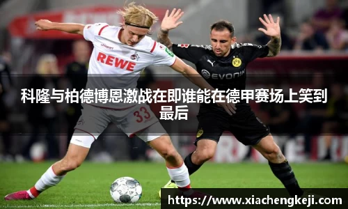 BSports网页版
