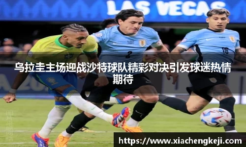 BSports网页版