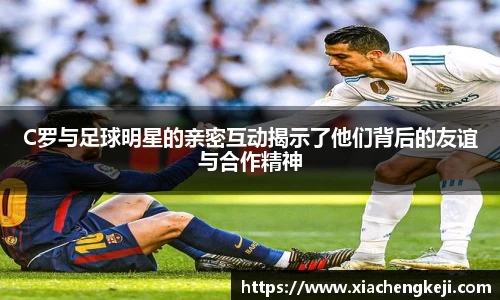 必一体育